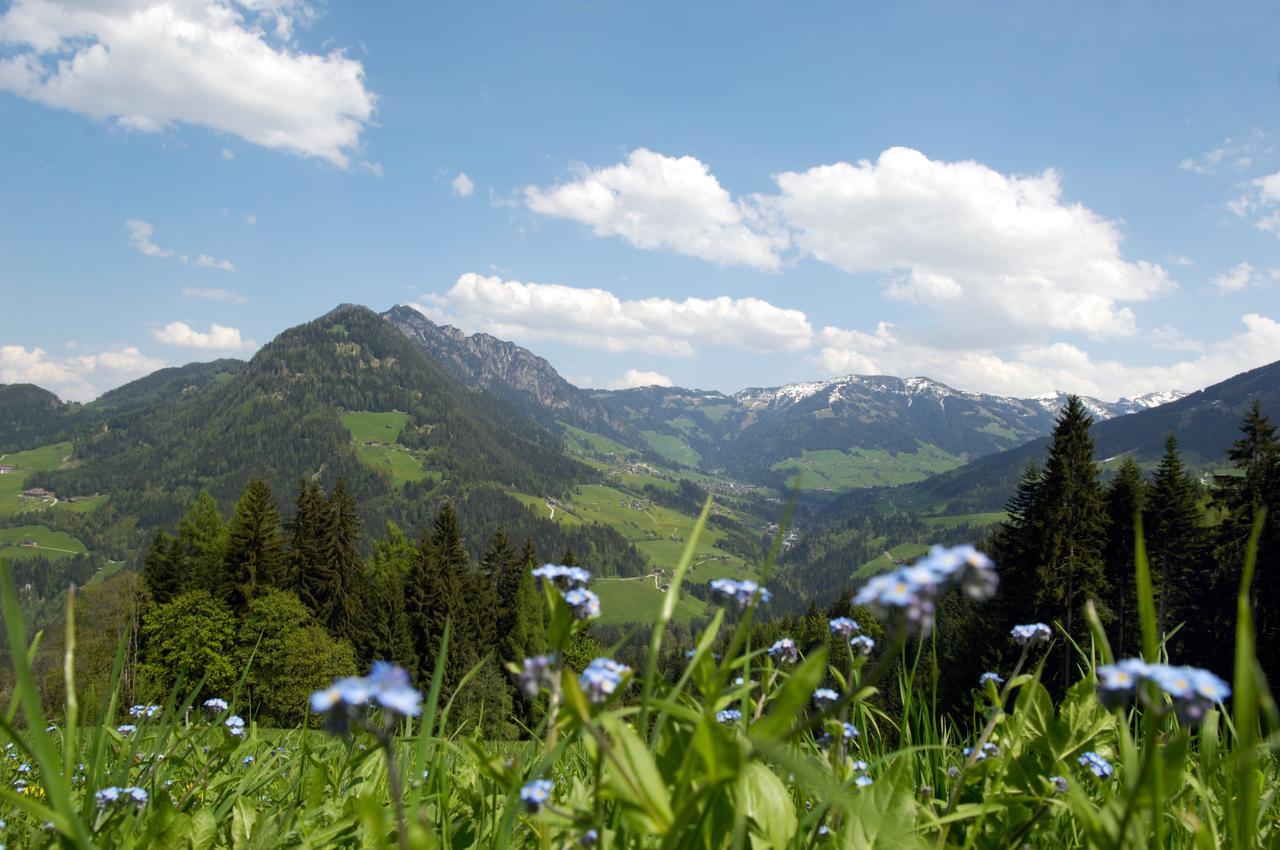 Bergchalet Rauchenhof Reith im Alpbachtal Εξωτερικό φωτογραφία